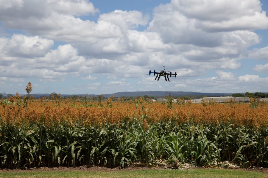 Asesoramiento agrícola y drones