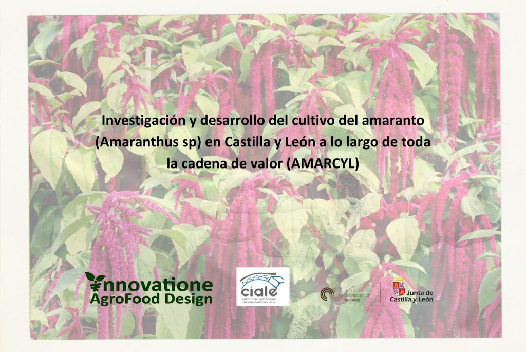 investigacion-y-desarrollo-del-cultivo-del-amaranto-amaranthus-sp-en-castilla-y-leon-a-lo-largo-de-toda-la-cadena-de-valor-amarcyl